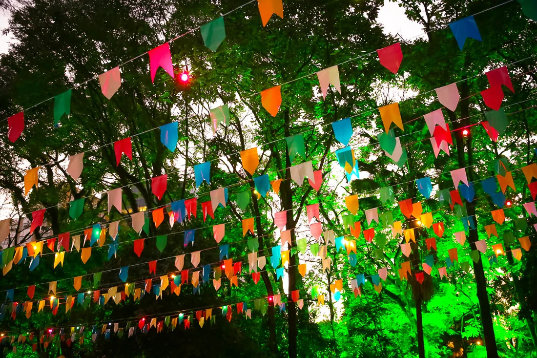 Arraial Da Cidade SP 0R2A5111.jpg