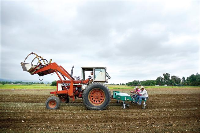 Eric Skokan, Ruben Ramirez and Juan Collazo Galarza prepare a field for planting along Jay Road in Boulder on Monday morning. ( Devi Chung / For The Camera )