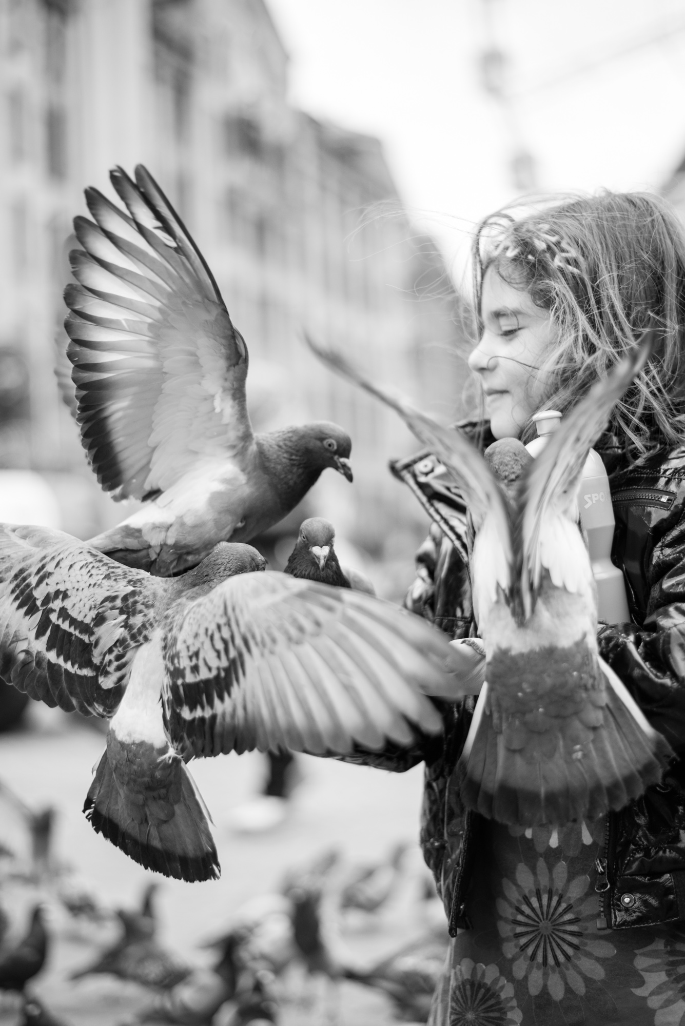 The doves and a girl Amsterdam