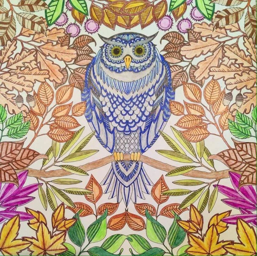 Coloring courtesy of Shelly Durham. Notice the "cool" owl surrounded by the "warm" foliage. Illustration from Secret Garden © Johanna Basford
