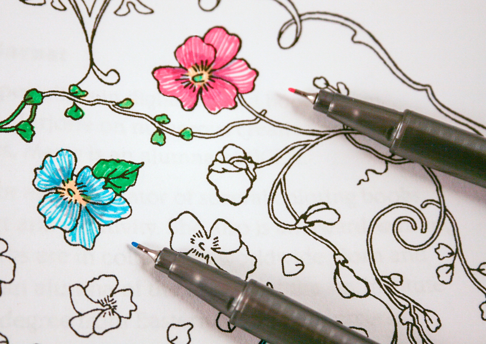 Staedtler triplus Fineliner Pens Are Superior Performers and a Pleasure to  Use — Marjorie Sarnat Design & Illustration