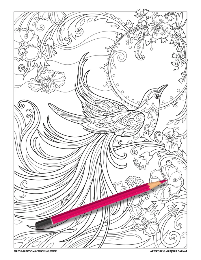 Download Parrot Colour Drawings Of Flowers And Birds Jacinna Mon