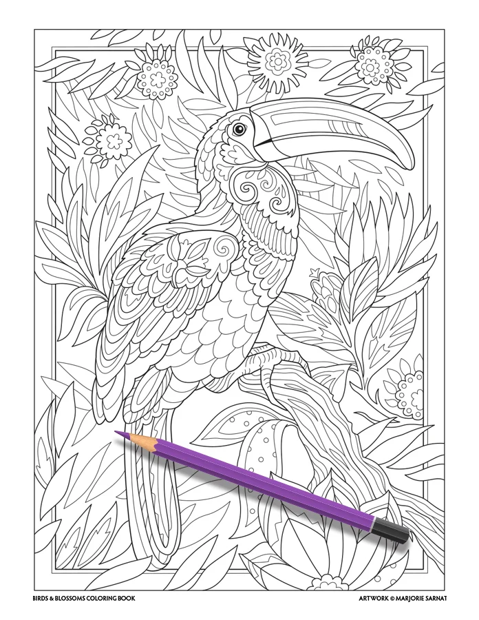Birds Blossoms Marjorie Sarnat Design Illustration