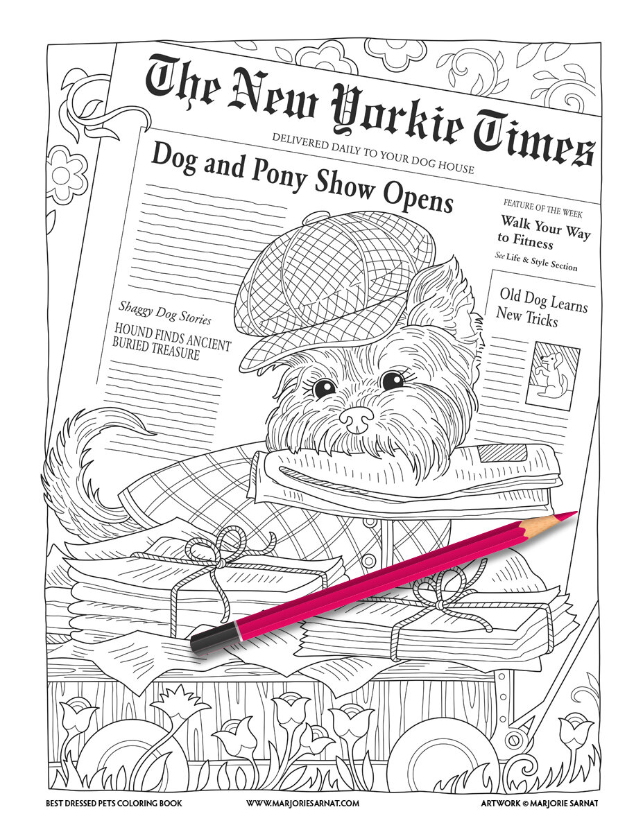 The New Yorkie Times