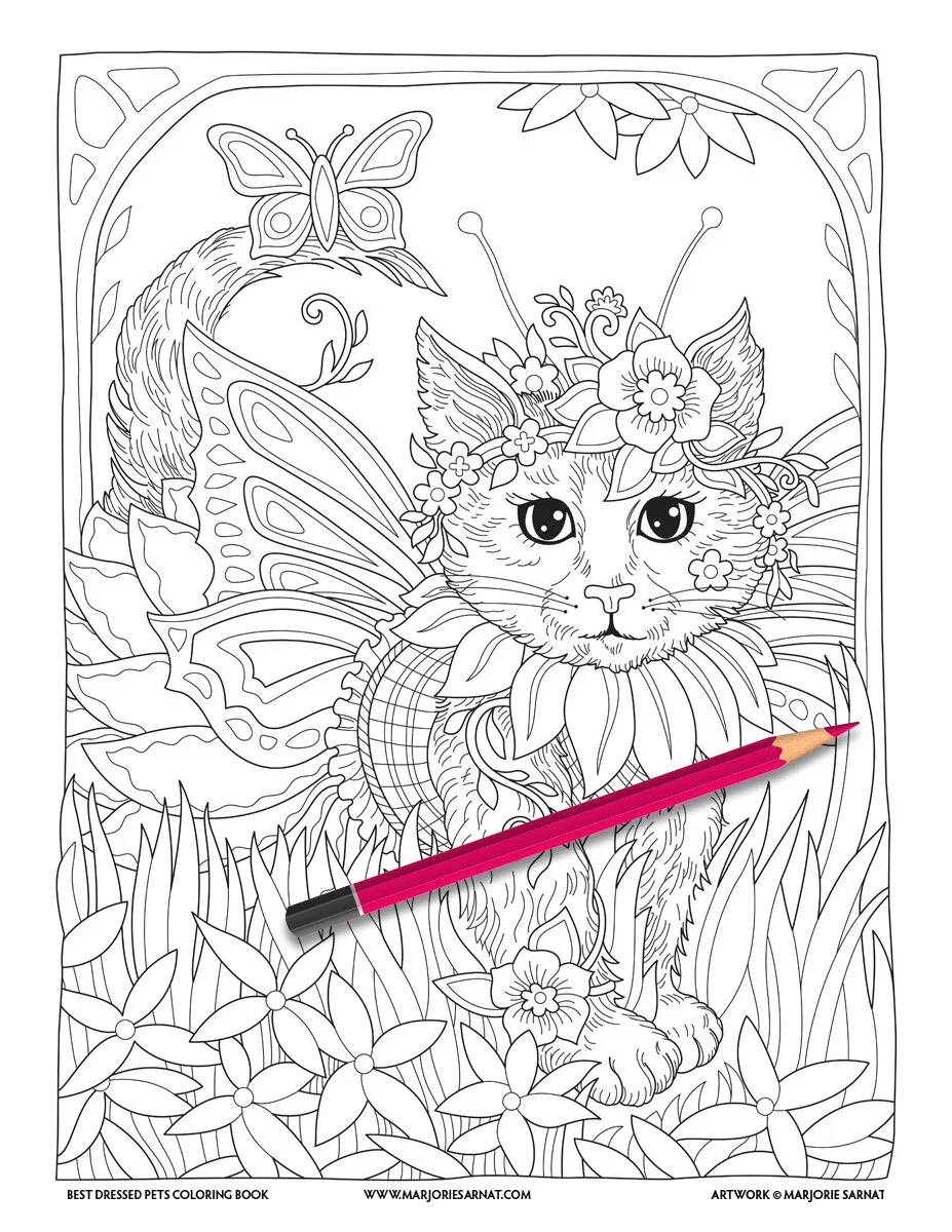 Best Dressed Pets — Marjorie Sarnat Design & Illustration