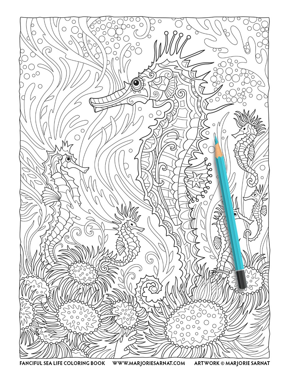 Seahorses