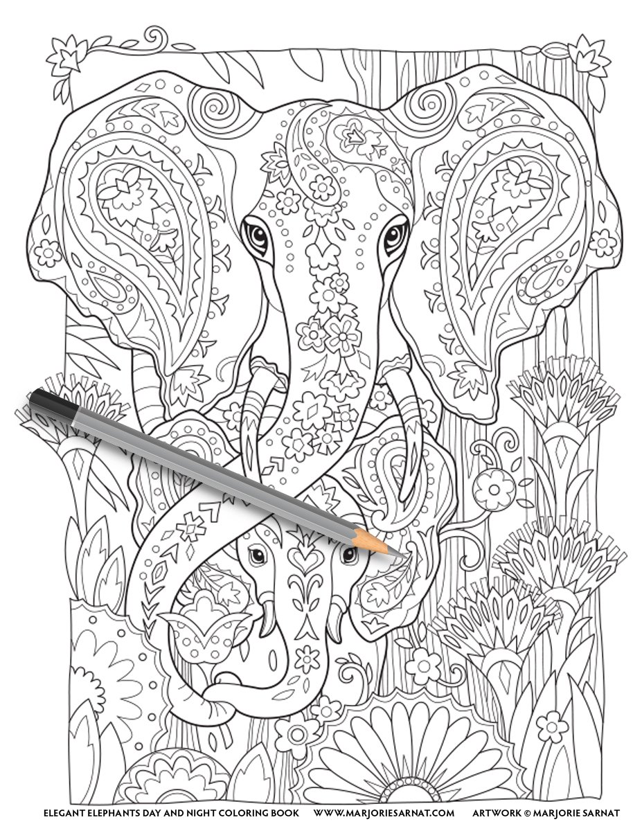 Paisley Elephants