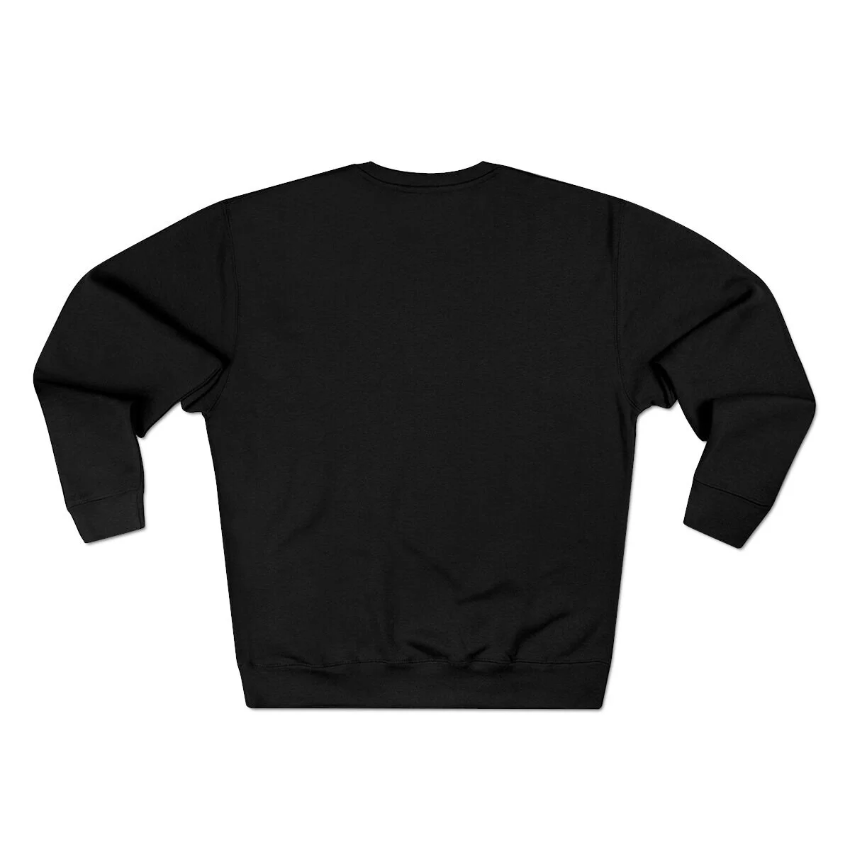 Sweatshirt back side, blank, no printing