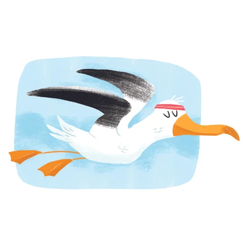 albatross.jpg