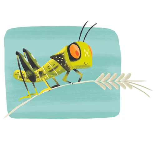 desert locust.jpg