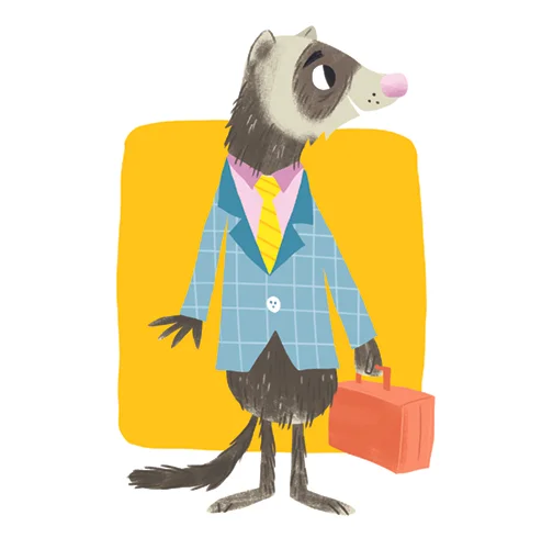 ferret.jpg