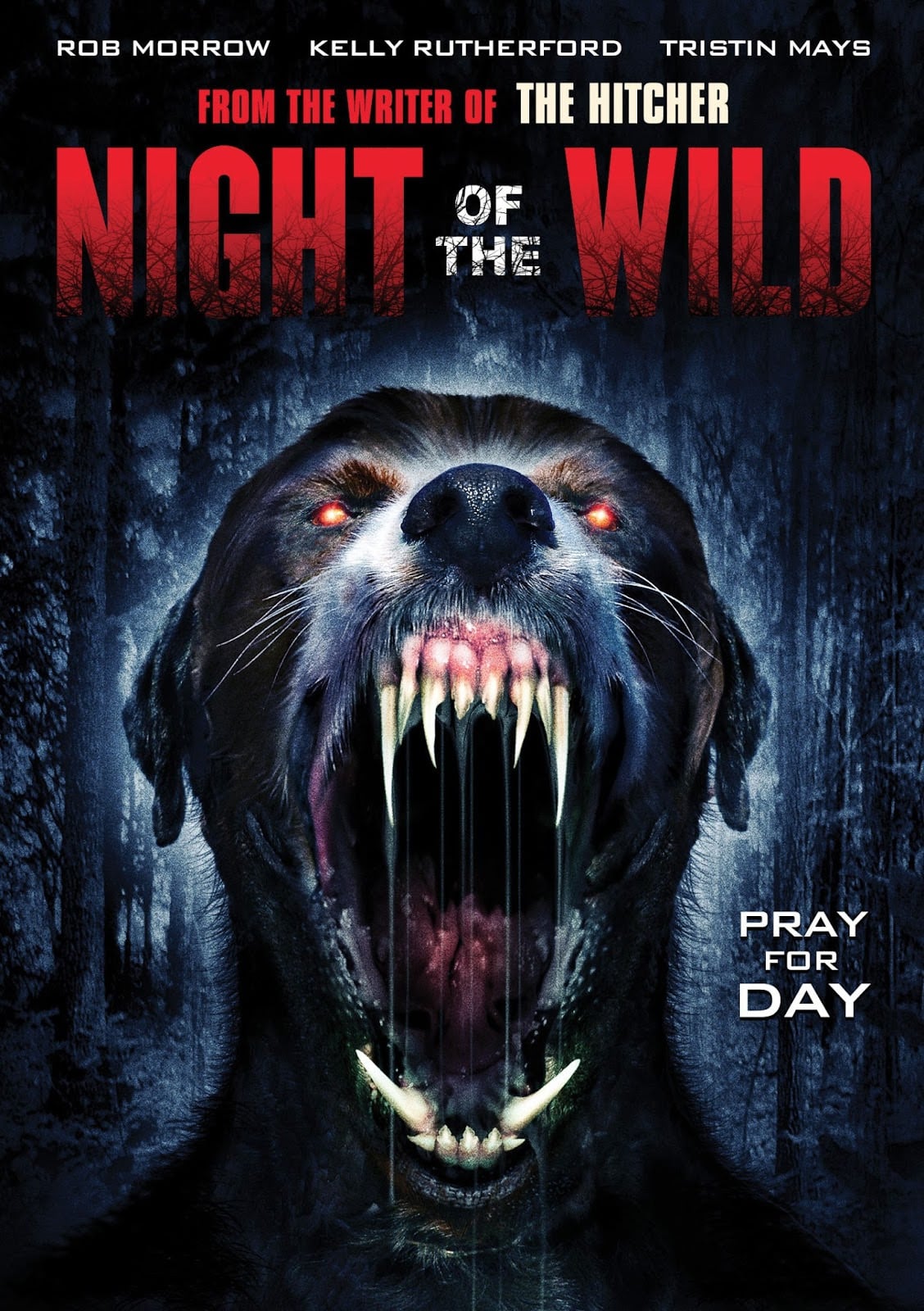 Night of the Wild.jpg