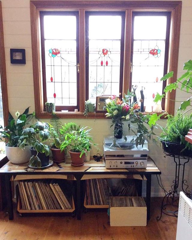 I sort of miss this house.. only sort of.. I miss parts of this house.. Especially in spring..
.
.
.
.
.
.
.
#oldhouse #renovated #recordstorage #ihavethisthingwithplants #plantstyling #greenfriends #plantbabies #womeninwoodwork #stainedglass #spring
