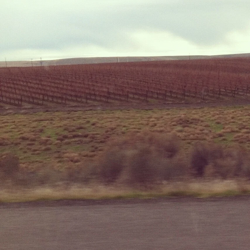 [I went to the city, came back in Technicolor]