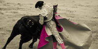 The Tiniest Ark: Jennifer Moore's The Veronica Manuever