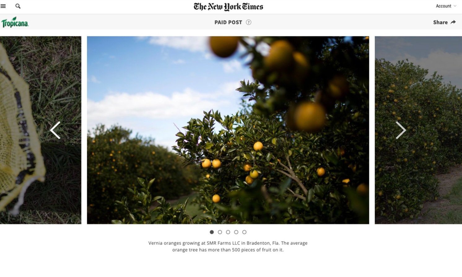 The New York Times &amp; Tropicana