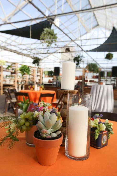 succulent centerpieces.jpg
