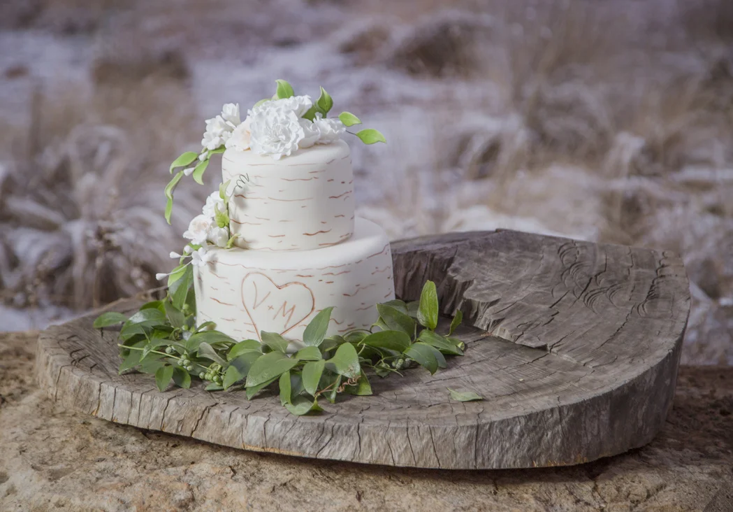 aspen tree wedding cake.jpg