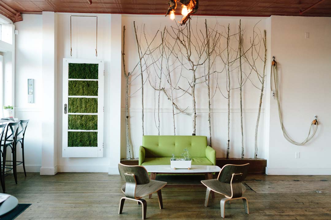 aspen tree wall.jpg
