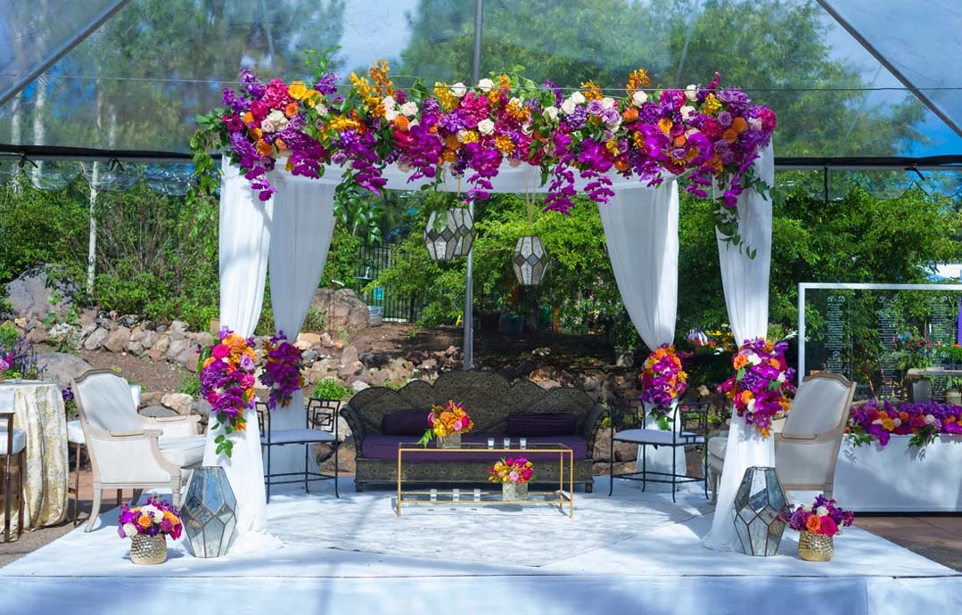 wedding canopy.jpg