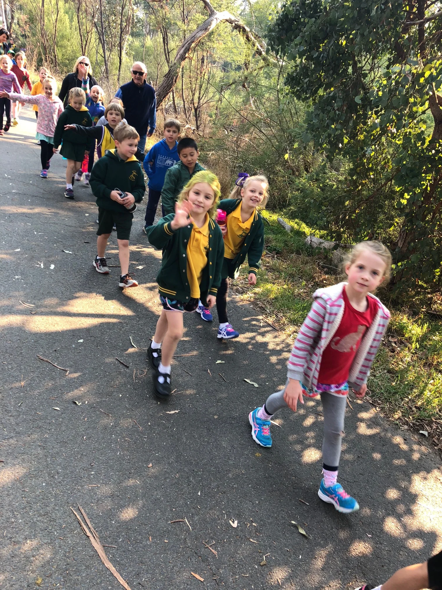 Walkathon 2018f.jpg