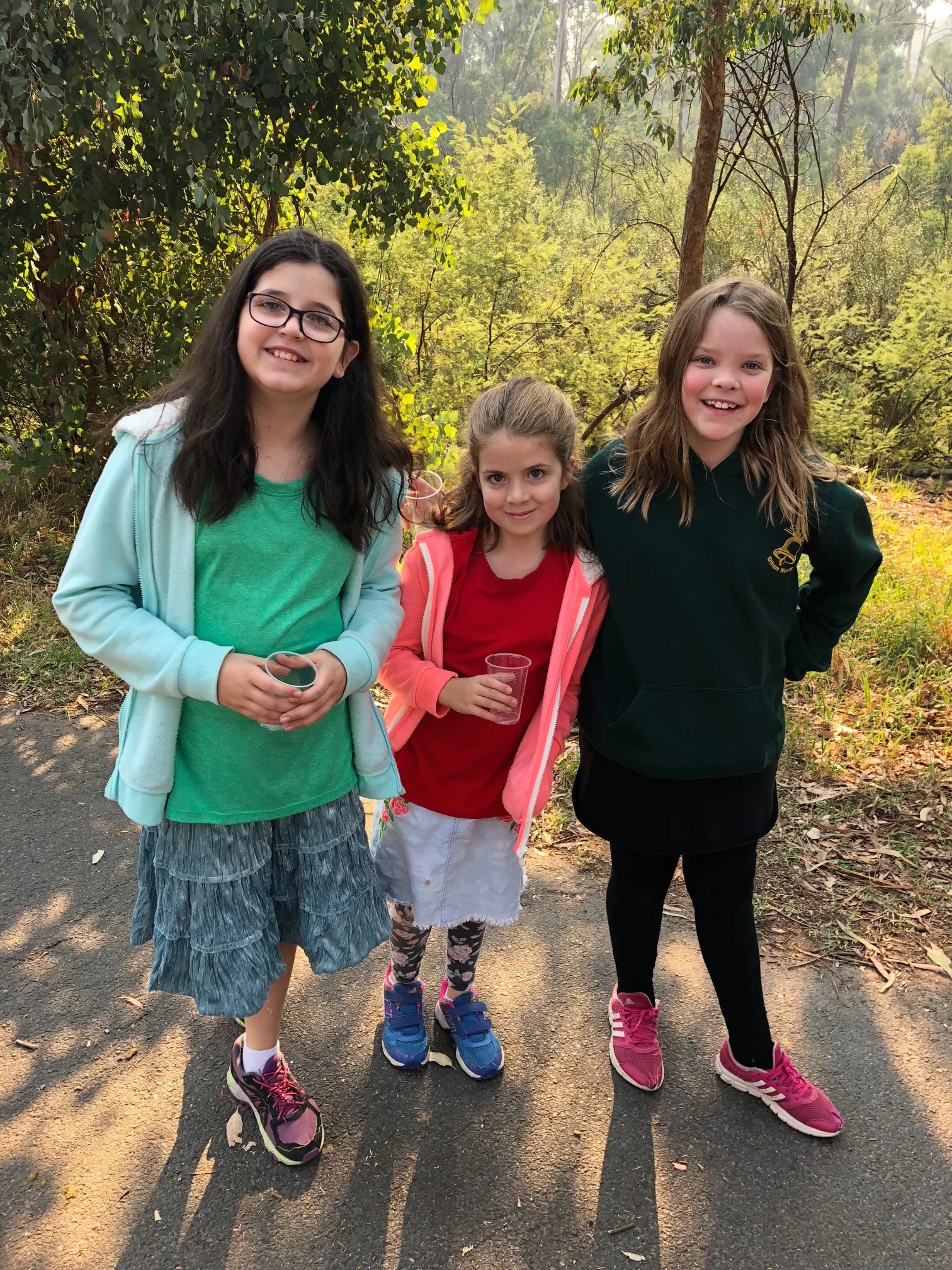 Walkathon 2018a.jpg