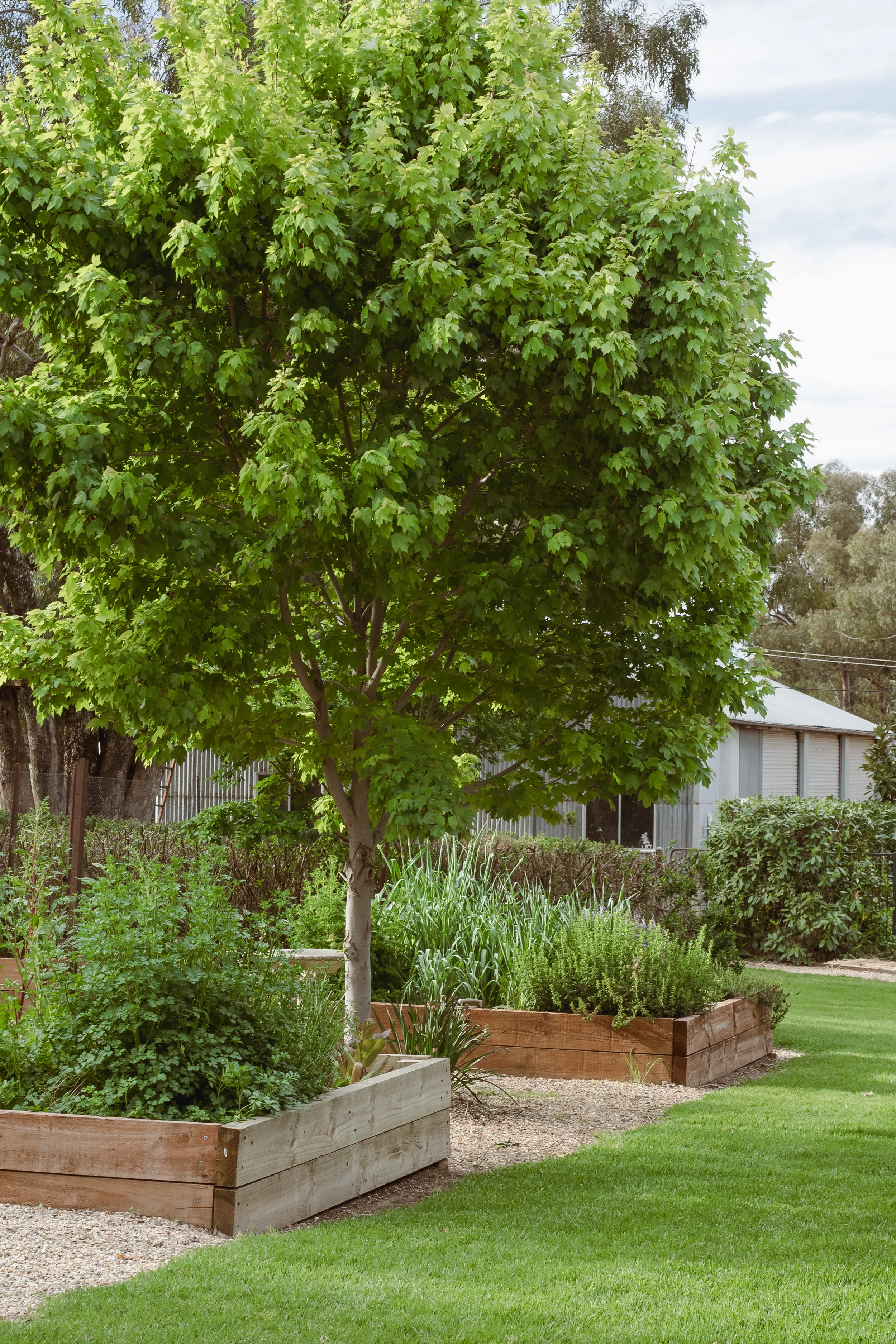 Spring Photoshoot_171025_ (165 of 383).jpg