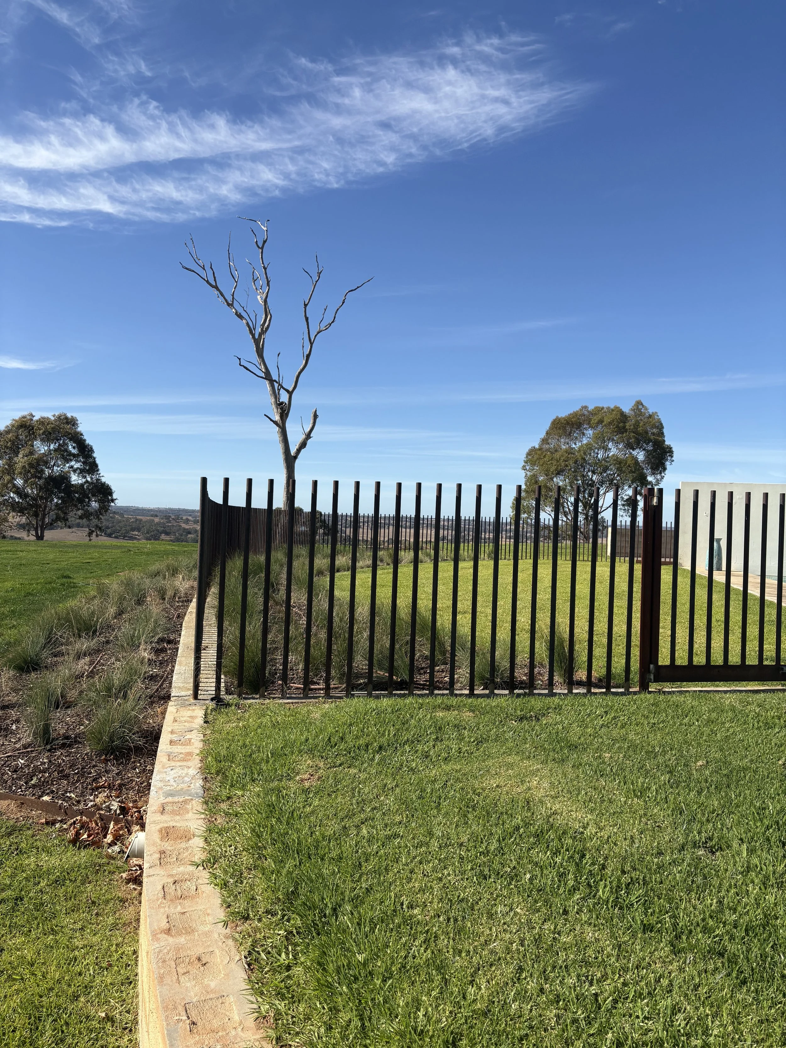 Somewhere-Landscapes-Thuddungra00009.jpg