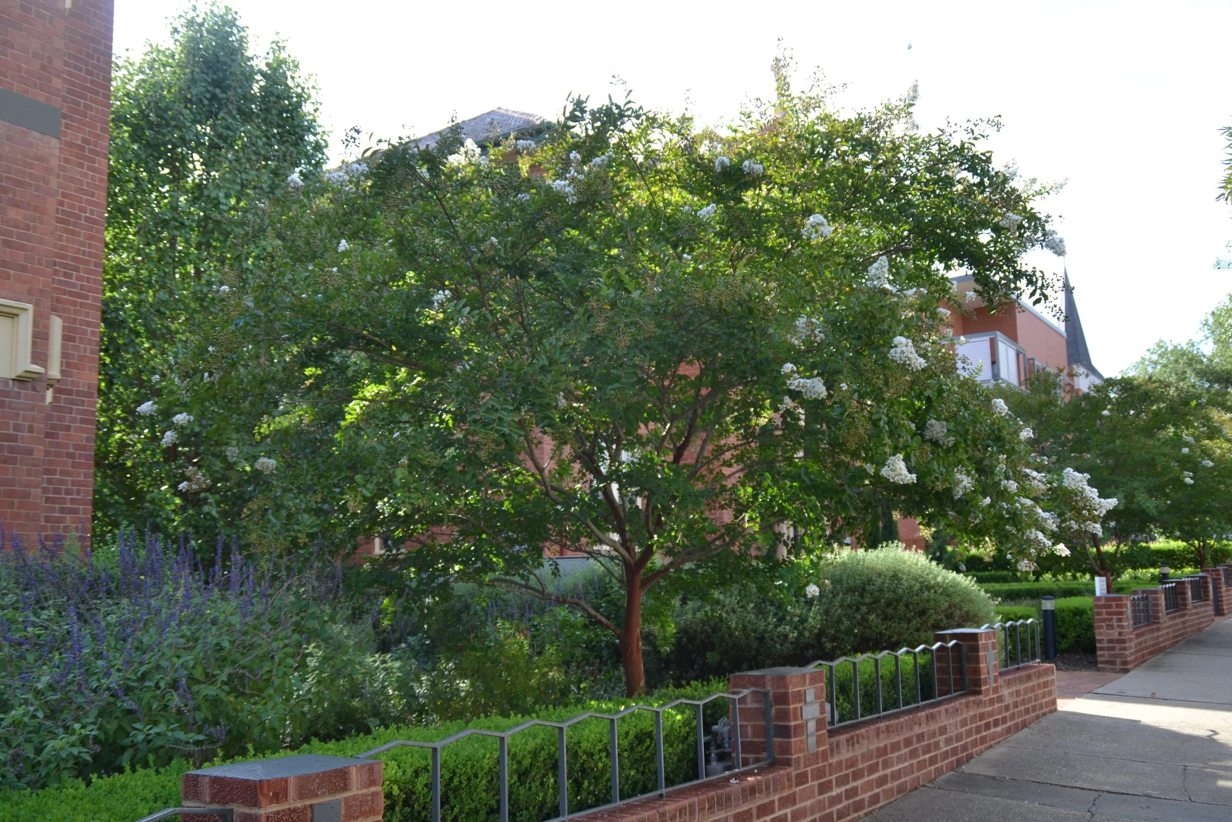 Watermark Wagga Wagga