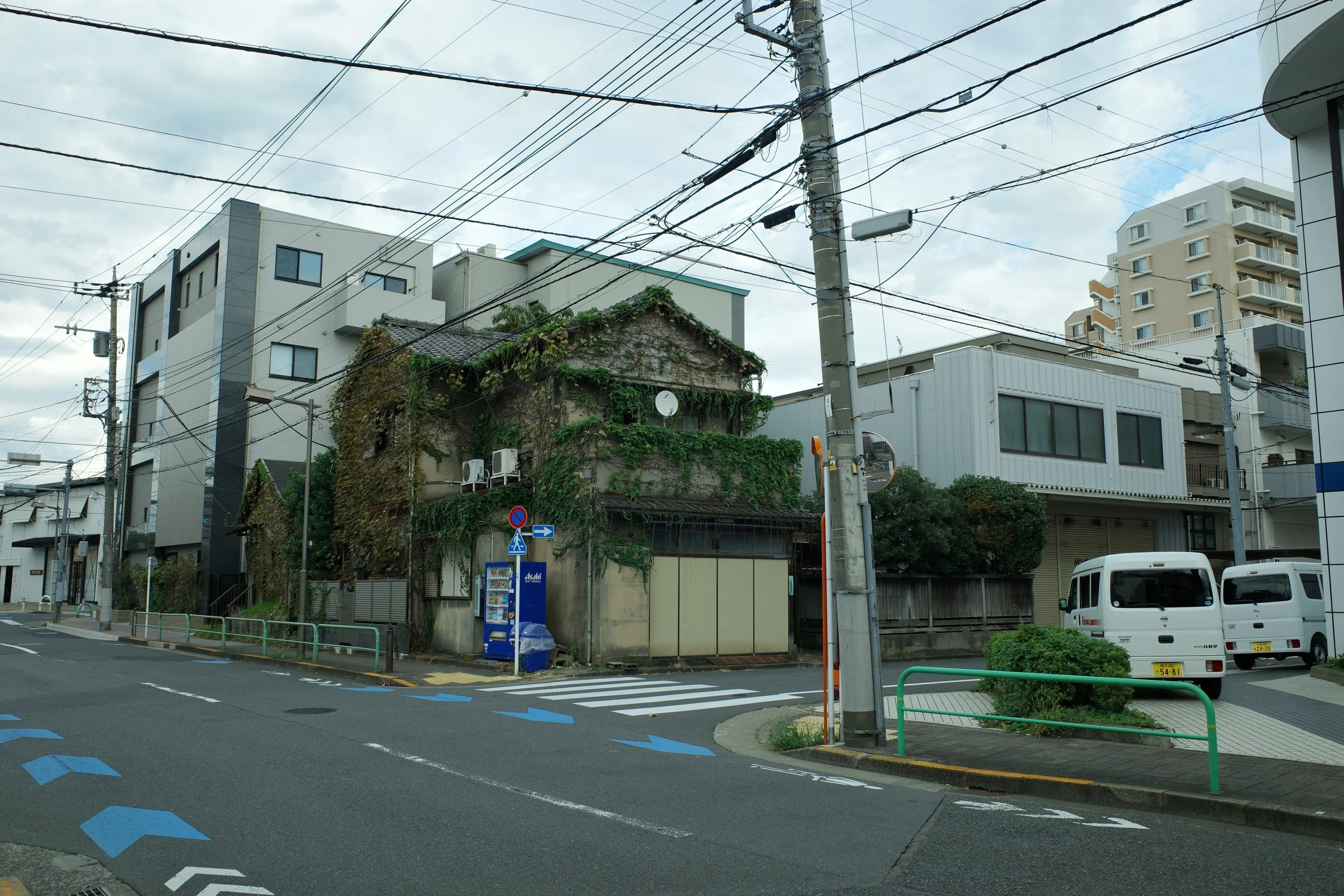 Green in the City.jpeg