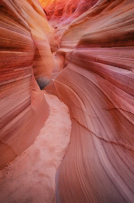 If All Else Fails - Pink Canyon, Valley of Fire State Park, NV