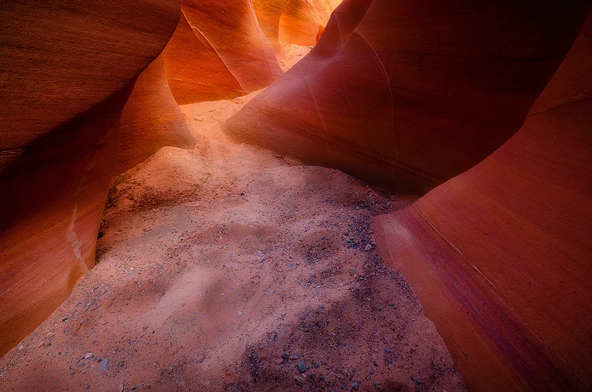 Not Totally Skunked - Pink Canyon, Valley of Fire State Park, NV