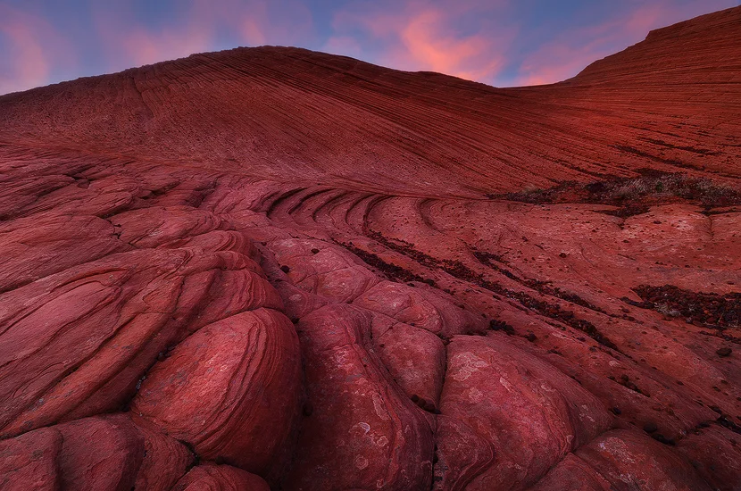 Pink Heat - Petrified Dunes, Snow Canyon State Park, UT