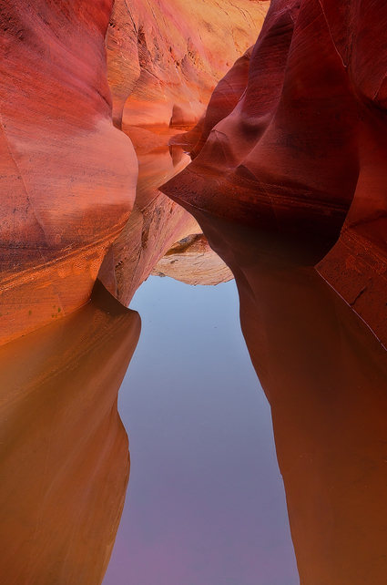 20 Yards - Pink Canyon, Valley of Fire State Park, NV