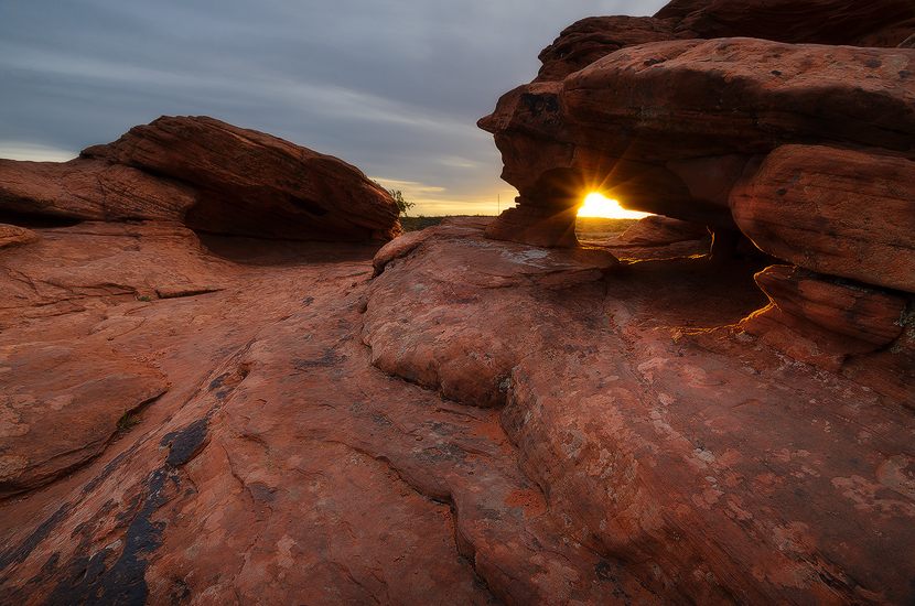 Burst - Pioneer Park, Red Cliffs Desert Reserve, UT