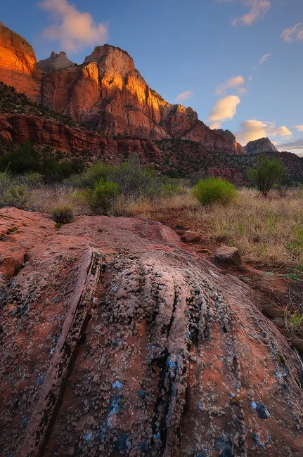 Out of Nowhere - The Sentinel, Zion National Park, UT