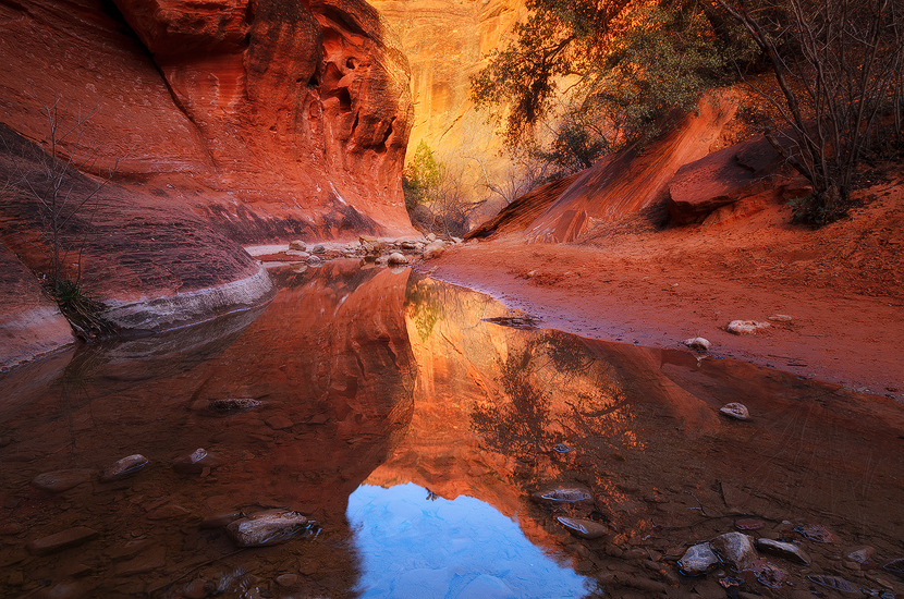 It Feels Hidden - Quail Creek, Red Cliffs Desert Reserve, UT