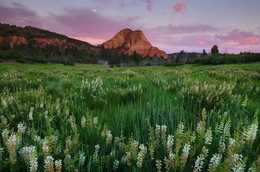 Moonrise Kolob - Kolob Terrace, Zion National Park, UT
