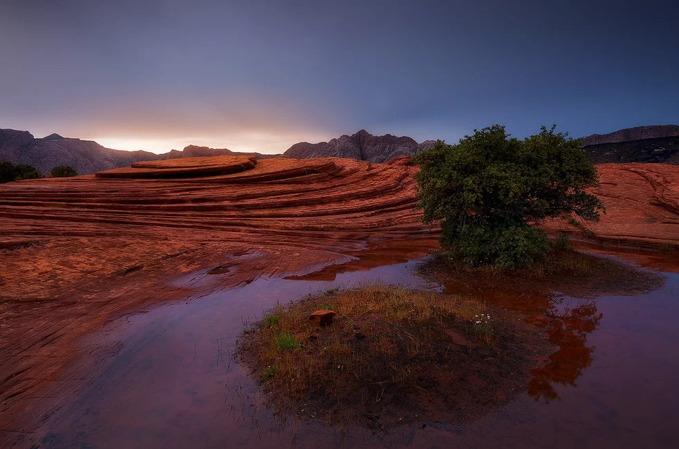 Absent Today - Petrified Sand Dunes, Snow Canyon State Park, UT