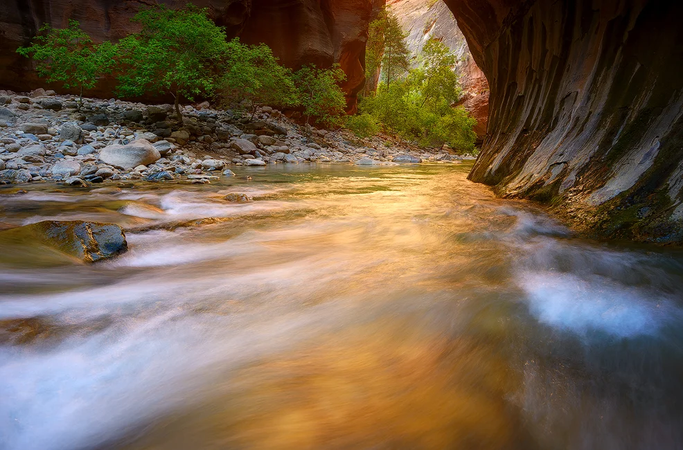 Reflection Glow - The Narrows, Zion National Park, UT