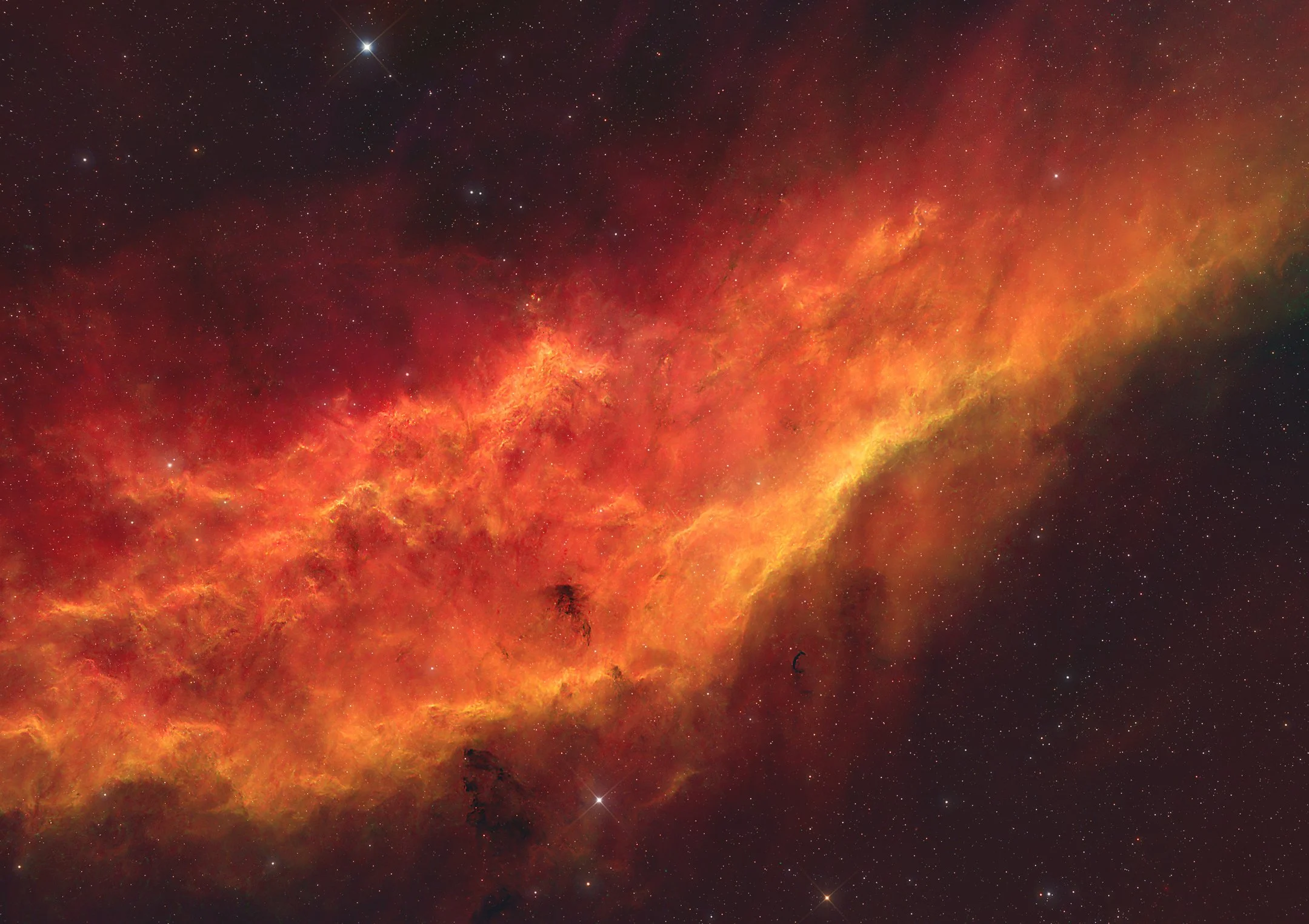 California Nebula