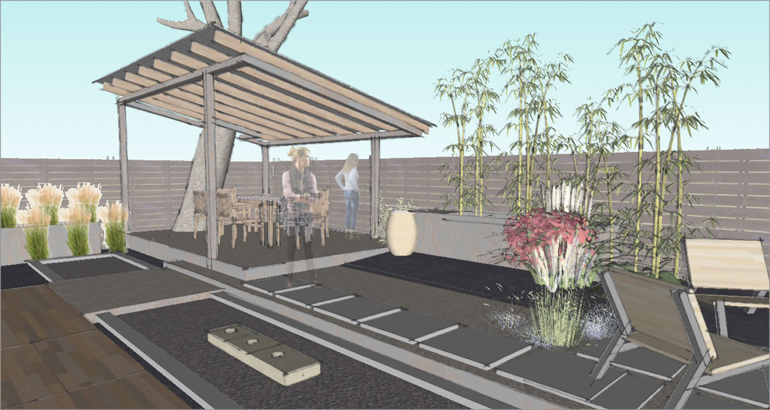 back-yard2.jpg