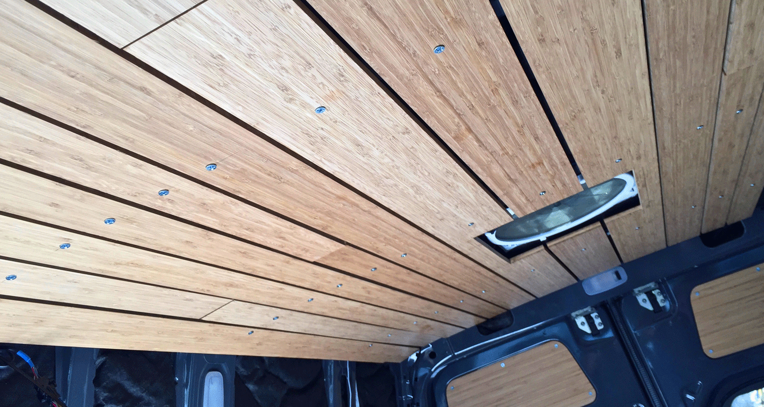 ceiling1.gif