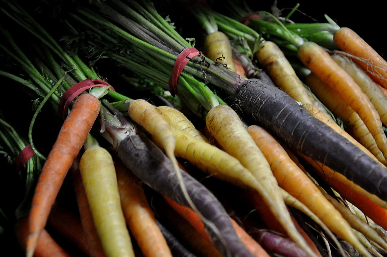 carrots-sharp.jpg
