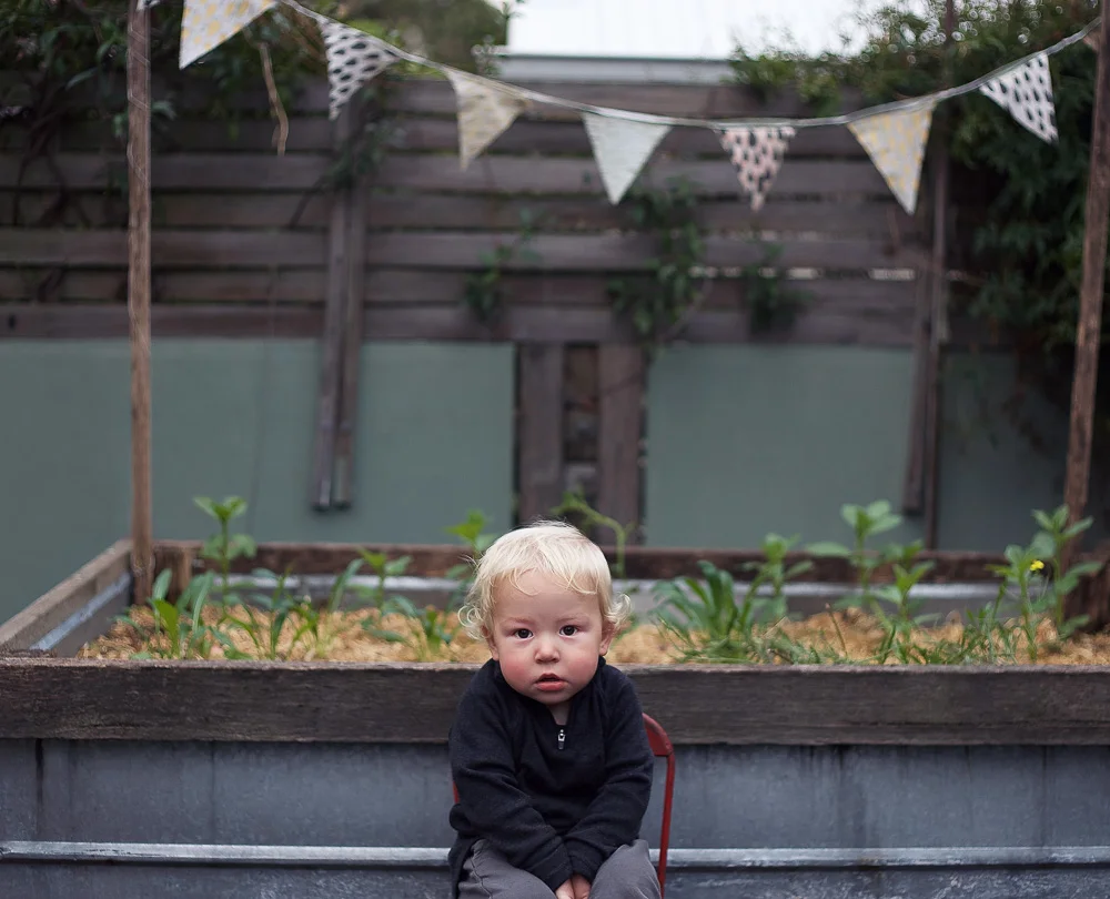 alby_gnome (1 of 1).jpg