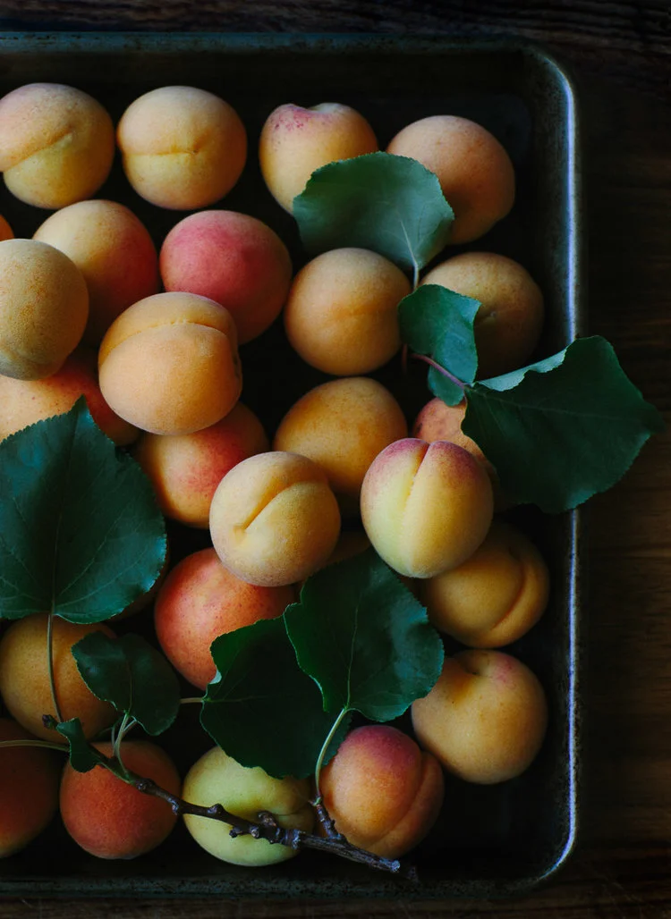 apricot-1.jpg