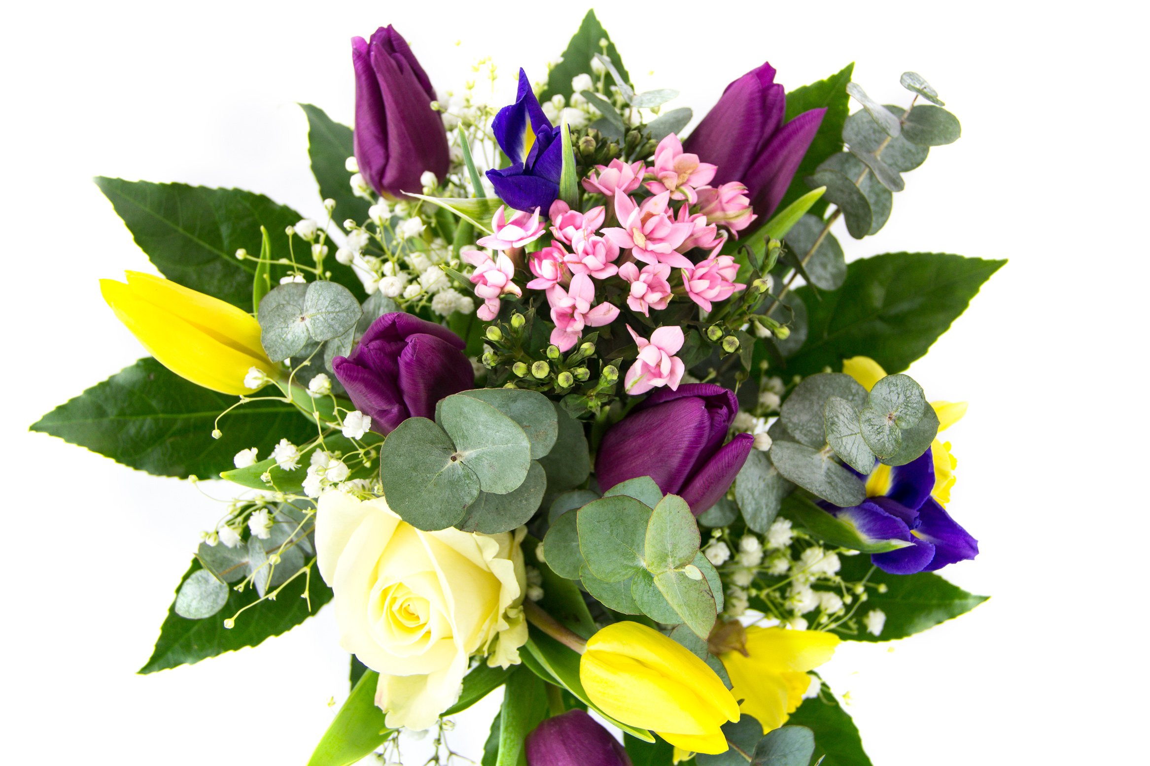 Spring_Jar_Close_up.jpg