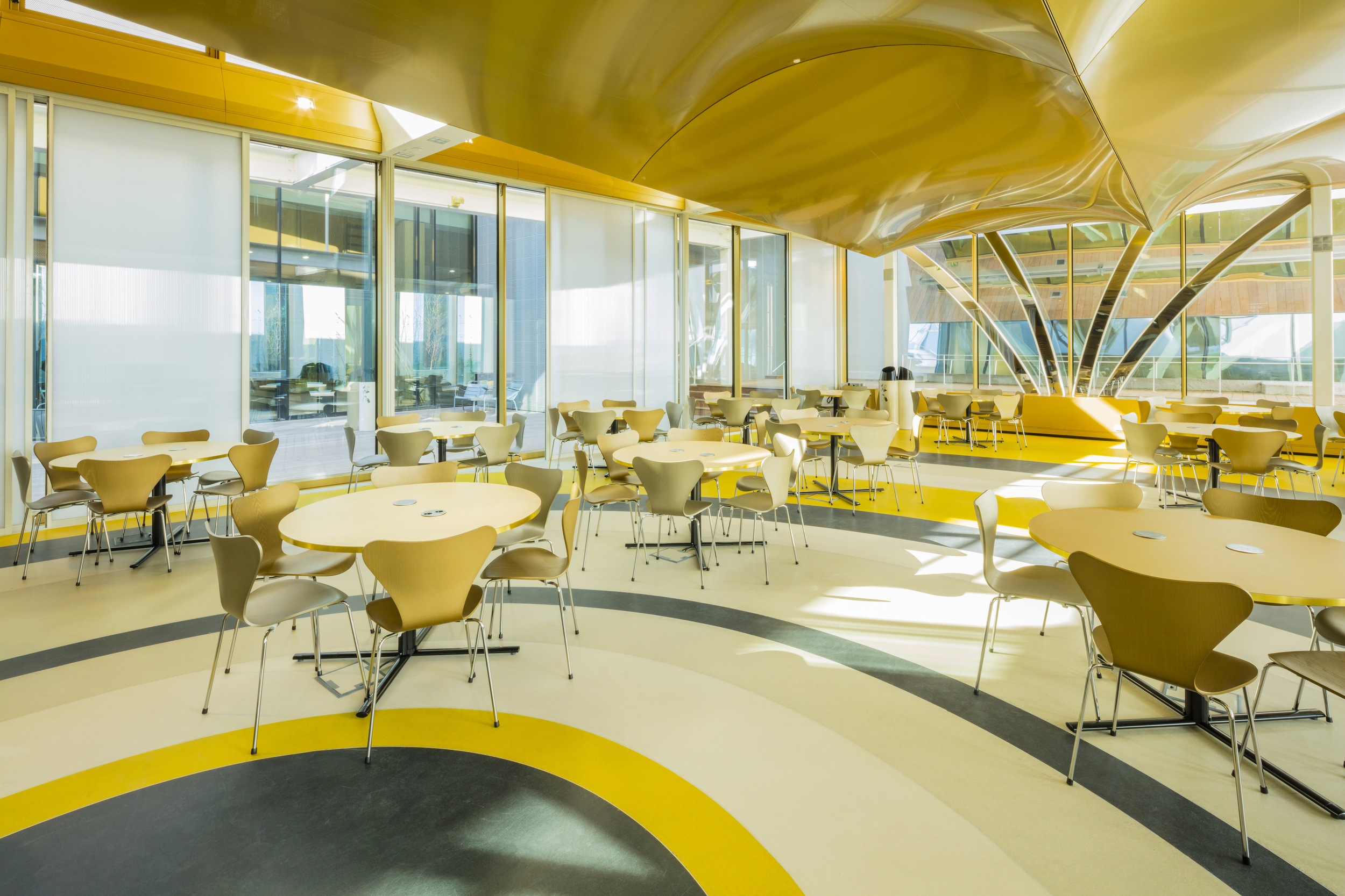 Guillaume Guerin Photographe Alain Sarfati Universite Assas Guillaume Guerin