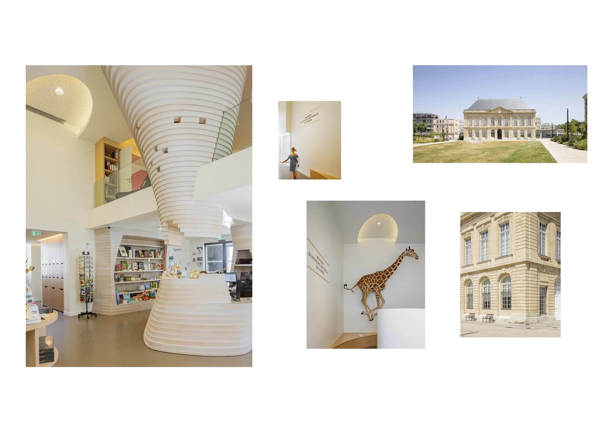 Muséum d'Histoire Naturelle le Havre
