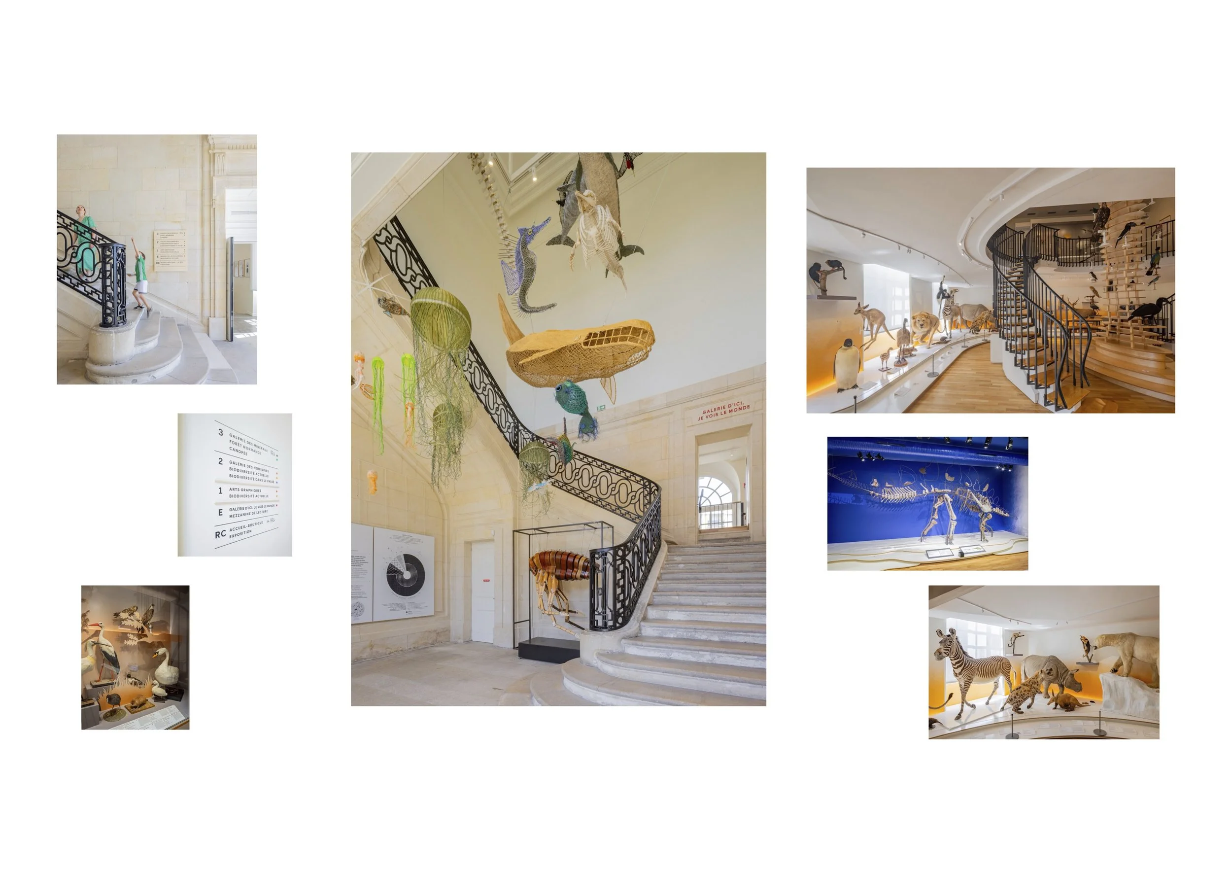 Muséum d'Histoire Naturelle le Havre